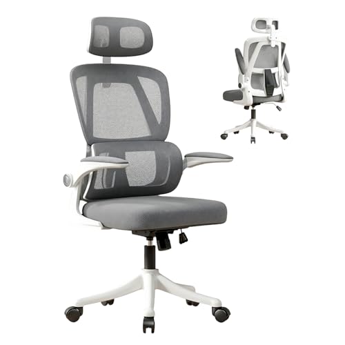 VIDITA Ergonomic Office Chair with Dynamic Lumbar Support & Adjustable Headrest – High Back Desk Chair with 90° Flip-up Arms, Comfort Mesh Computer Chair for Home Office Long Hours Sitting,Gery