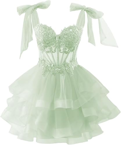 Tiered Tulle Homecoming Dresses 2025 for Teens Lace Applique Sweet 16 Short Prom Cocktail Dress2