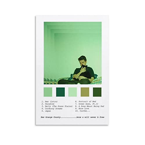 Affiche Rex Orange County Bcos U Will Never B Free impression toile 60x90cm