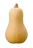 Butternut Squash, Locally Grown