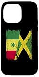 Photo Gallery senegal jamaica half flag senegalese giamaicano heritage custodia per iphone 14 pro max Photo Gallery senegal jamaica half flag senegalese giamaicano heritage custodia per iphone 14 pro max
