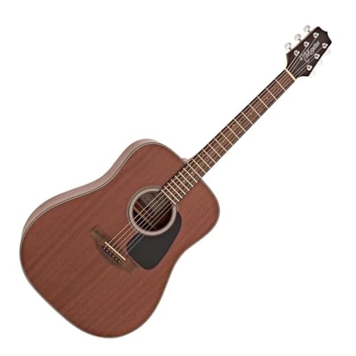 Takamine GD11M Acoustic Guitar
