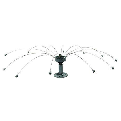 Daddi Long Legs Rotating Bird Spider 2.5m