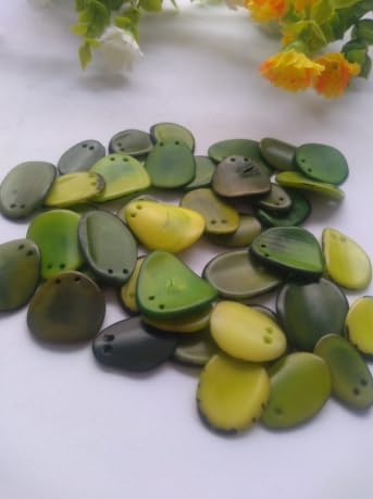 20 Green Slices Curved - Nail Shape from Colombia Rainforest Top drilled Two Holes Size: 2-2.5 x 2-2.5 cm R-1049