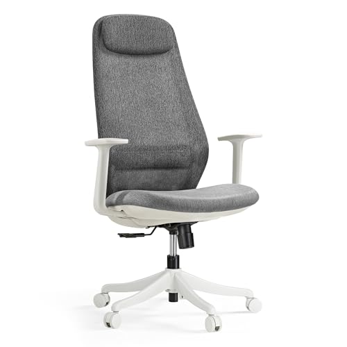 EUREKA ERGONOMIC Mesh Office Chair Grey, Ergonomic Office Desk Ch...