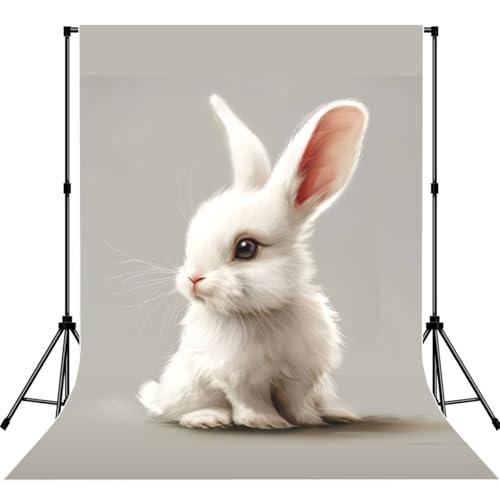 Toile de fond lapin blanc photo de portrait studio sans support blanc 2x3m