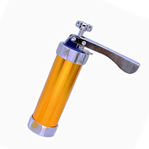 Blyl Machine à biscuits avec 20 types de moules à biscuits et 4 embouts passepoilés doré