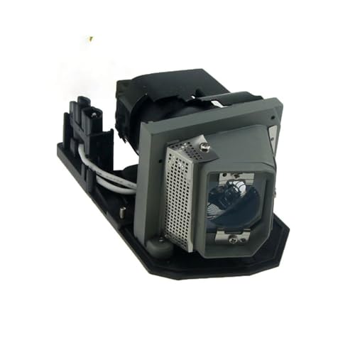 PCXDOLNJ Lámpara de proyector NP10LP/60002407 con Carcasa for N-EC NP100G,NP200,NP200EDU,NP200A,NP200G,NP100,NP100A