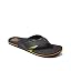 Cactus Black