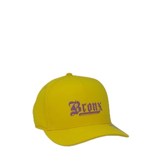 Boné Aba Curva Anth Co Bronx Top