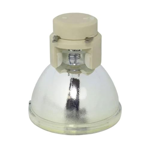 Ampoule EC J8100 001 pour réparer l'image terne du Acer P1270