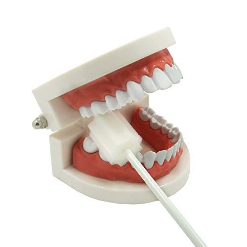 Miniatura 4 de Hisopos orales desechables, sin tratar y sin sabor, esponja de limpieza oral, cepillos de dientes, color blanco, 100 unidades