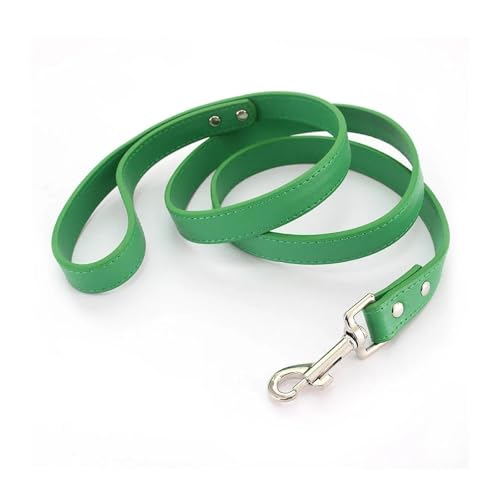 Dog owner walking dogs using bright leather leashes
