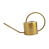 theiere forme arrosoir Arrosoir d'intérieur - longue bouche en acier inoxydable, pratique pour l'arrosage et antirouille, pichet d'arrosage