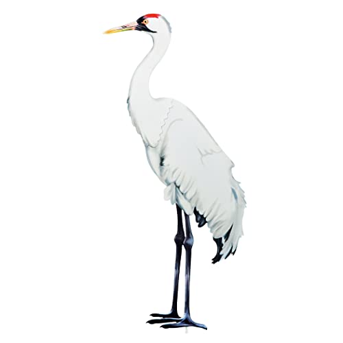 Collections Etc Realistic Whooping Crane Outdoor Garden Stake