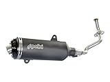  Auspuff Polini für Piaggio Medley 125i, 150i