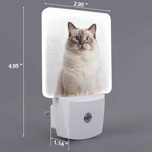 Image of LED Night Light,Beautiful Yellow Eyes Ragdoll Cat LED Night Light Plug into Wall with Dusk to Dawn Light Sensor White Energy Efficient Nightlight for Bedroom Hallway Living Room Kitchen