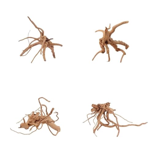 AquaOne Aquarium Wurzel M 15-25 cm - Filigrane Moorkienwurzel für Aquascaping, Naturdeko & Aufsitzerpflanzen - Handverlesenes Unikat für Süßwasseraquarien