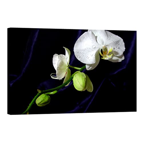 Toile florale lumineuse dans le noir de 80 x 120 cm pour ambiance salon zen