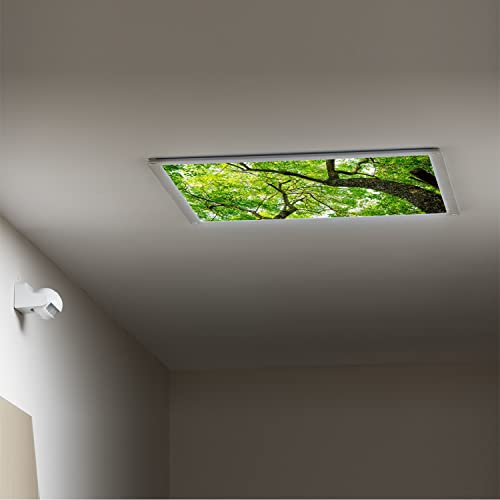 Lorougei Fluorescent Light Covers For Classroom Office - Light Filters Ceiling Led Ceiling Light Covers - 2Ft X 4Ft Drop Ceiling Fluorescent Decorative - Tree #TOP4