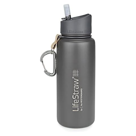 LifeStraw Go 2-Stage Filter Bottle, Unisex-Adult, Gray, 710 ml Cover