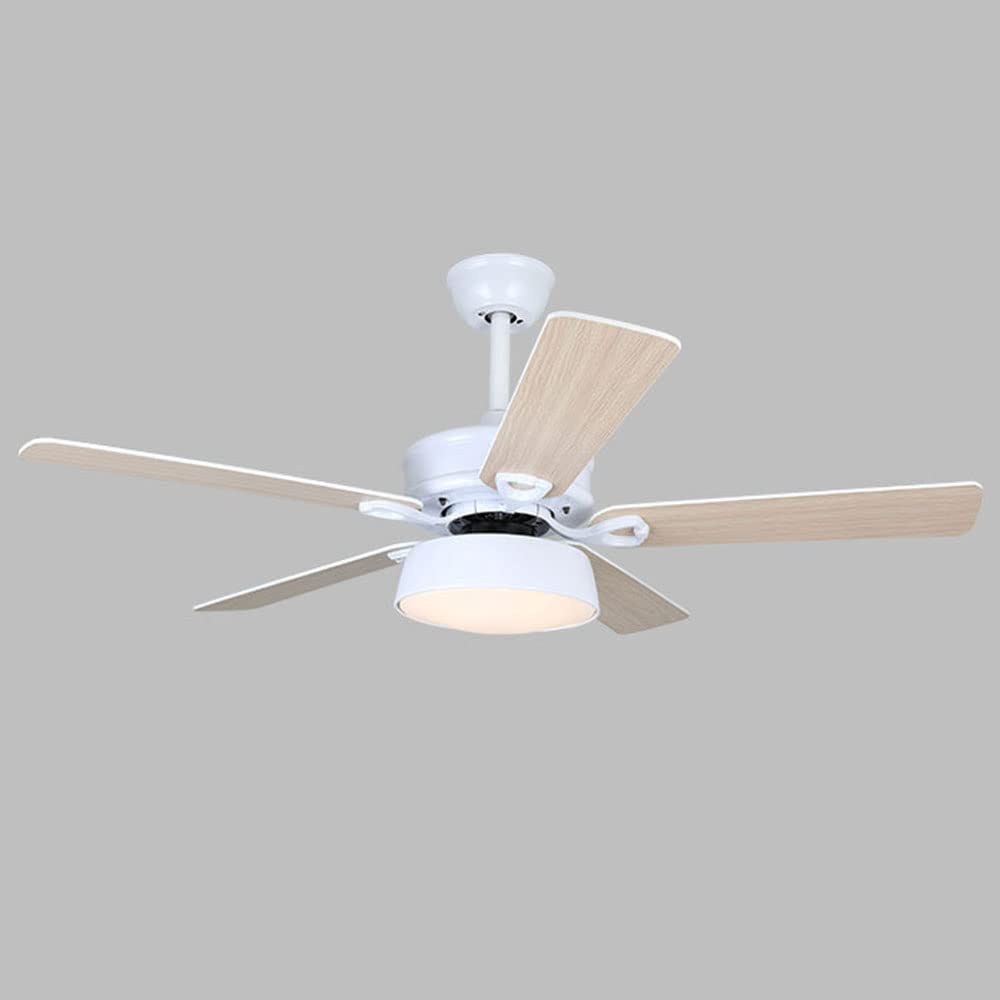 Ventilateur de plafond muet pour rafraîchir un salon chaud sans bruit