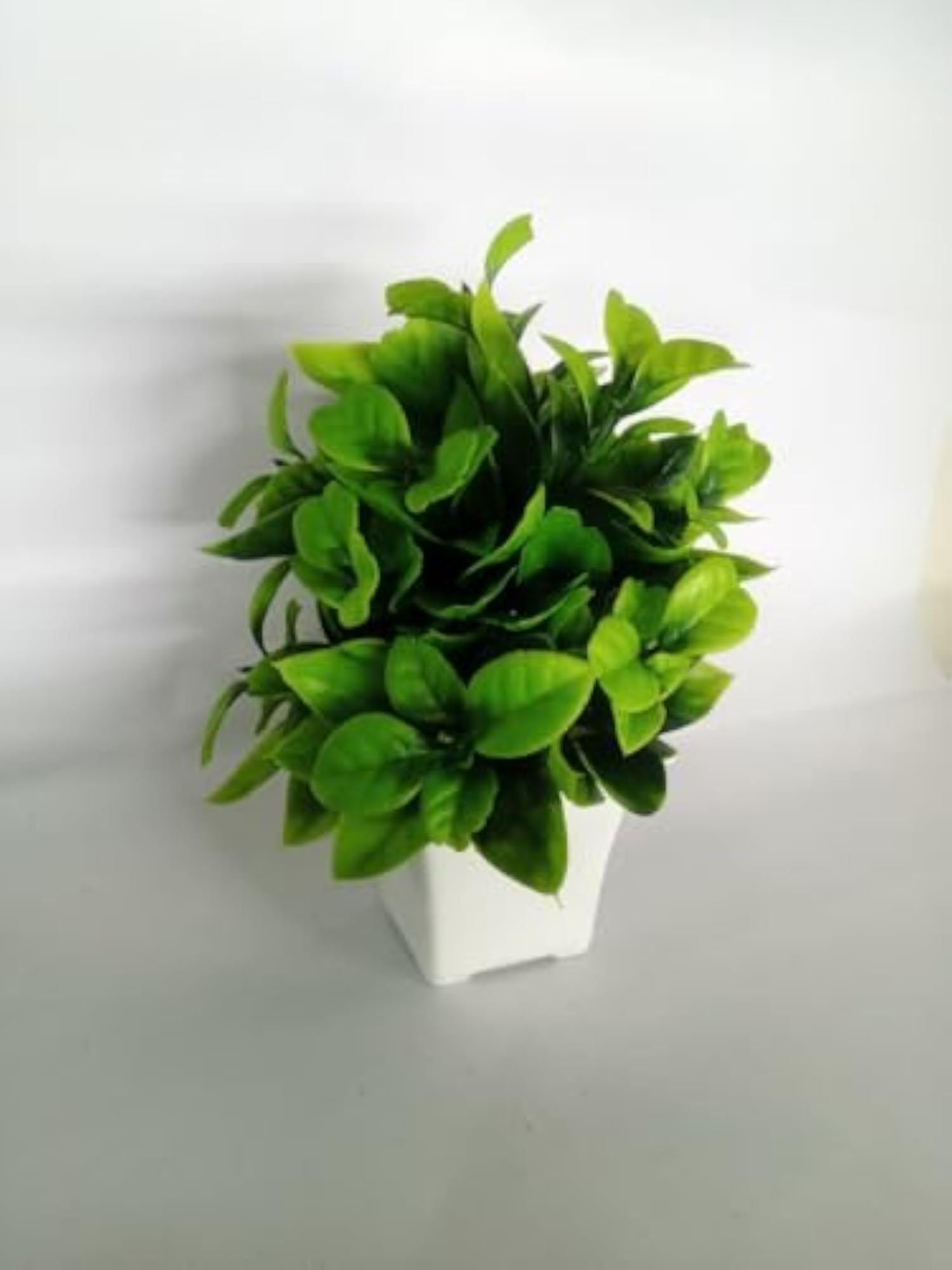 Modern Artificial Green Plant in White Ceramic Pot for Home Decor