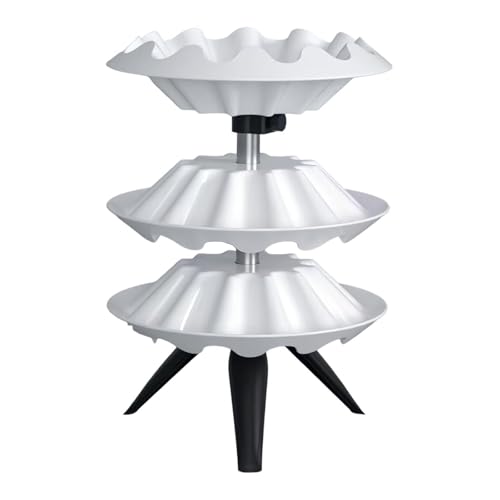 YWMJZEU ]lC|bVbN bvXeBbNI[KiCU[X^h ϕifBXvCP[X c^bvXeBbNz_[I[KiCU[ T Qp, 