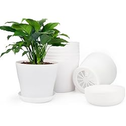 Maceta Plastico Blanca KINGLAKE 8 Piezas de macetero de plástico de 4 Pulgadas, Adecuado para Interior u Oficina, con Bandeja/Bandeja, plástico, Blanco
