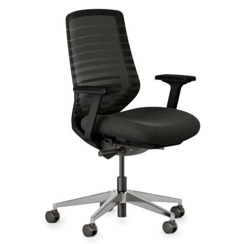 Image of Branch Ergonomic Chair, Versatile Desk Chair with Adjustable Lumbar Support | Breathable Mesh Backrest and Smooth Wheels, Experience Optimal Comfort and Support, All Black