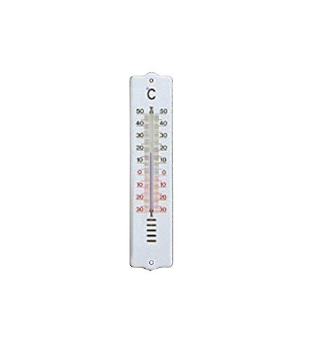 Termometro Plastica Bianco Gm