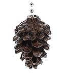 Top Brass Rustic Pinecone Ceiling Fan Pull Chain - Cabin Lodge Decor