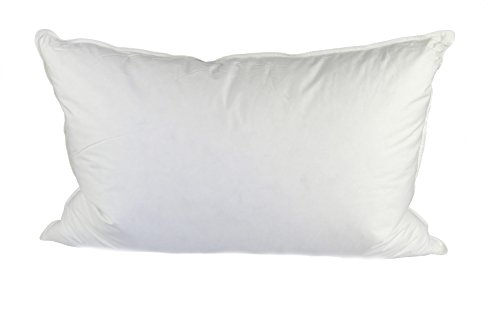 Pillowtex Â® 95/5 Duck Feather and Down Pillow (Queen Size)