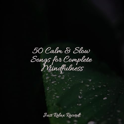 Amazon MusicでEasy Sleep Music, Best Relaxing SPA Music & Nature Sound