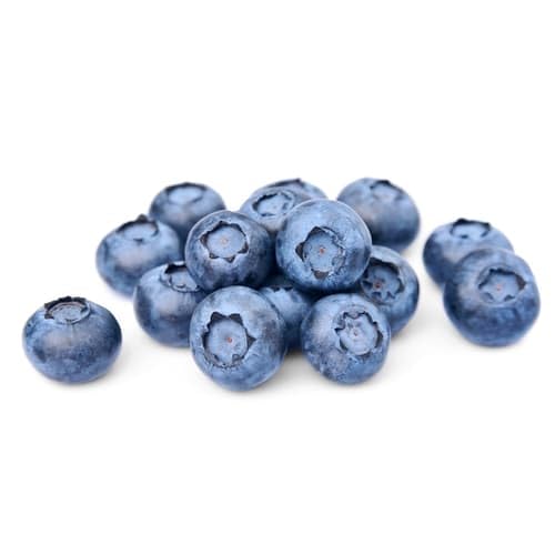 Heidelbeeren Schale (0.12 kg)