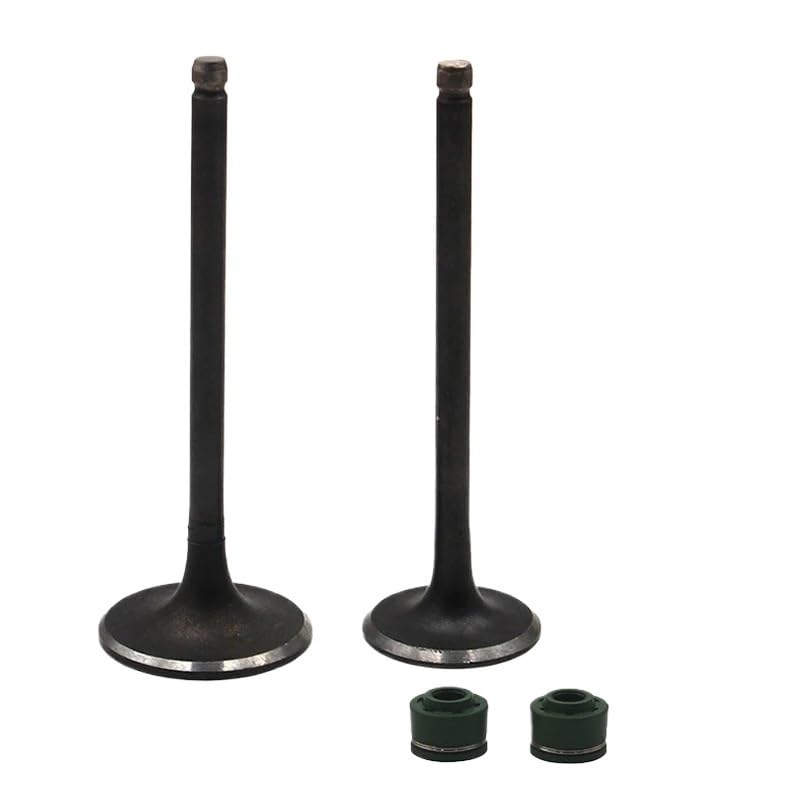 Kit stelo valvola di aspirazione e scarico compatibile con DR200 200CC DF200 200CC DR 200 200CC DF 200 200CC RV200 200CC VAN VAN200 200CC 2000-2006 2007-2017