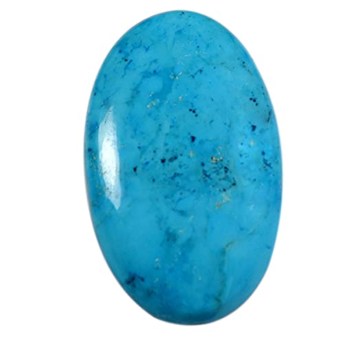 DENMOUS }OlTCg ^[RCY H ȉ~` J{V [X  35.1Jbg Op32-B09BNQ6SDNM