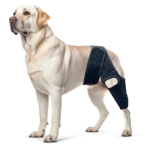 Image of Dog Knee Brace, Dog Leg Brace with 10 Stabilizers, Adjustable Dog Knee Brace for Torn Acl Hind Leg, Joint Pain, Kneecap Dislocation, Cruciate Ligament Injury and Muscle Sore, XL