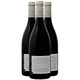 Bourgogne Hautes Côtes de Beaune Clos de la Perrière Rotwein 2022 - Domaine Sébastien Magnien - g.U. - Burgund Frankreich - Rebsorte Pinot Noir - 3x75cl