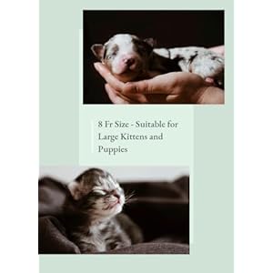 Puppy feeding tube kitlarge kitten feeding tube kit includes 8 fr kendall 8 french feeding tube and 35 ml syringe for dog whelping suppliesnewborn kitten supplies 8 french 8 fr   cucciolini doodles