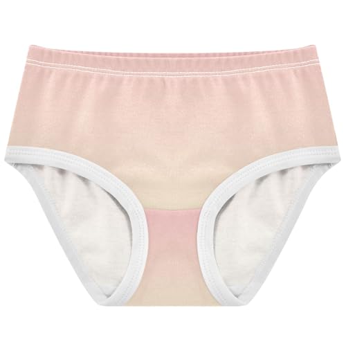 Joisal Pink Light Golden Gradient Toddlers Underwear Floral 2t Cotton Panties for Girl Fun Print Briefs Girls Undies