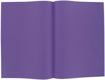 Majuscule-sous Chemise 60g 22x31 Violet - Paquet De 250 [Fournitures de bureau] Cover