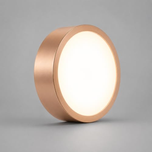 Image of AHUJA INTERNATIONAL Modern Deco Surface Ceiling Light 3W Brass Aluminum Decorative Indoor Lighting Fixture for Living Room, Bedroom, Hallway, Hotel & Home Decor Warm White Pack of 1, (Rose Gold)