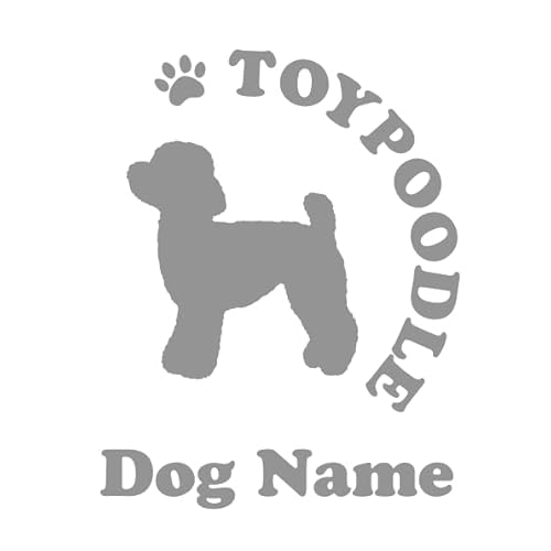 gCv[h JbeBOXebJ[ h ϋv OV[v[g (^CvA, O[)