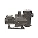 Bomba Piscina Victoria Plus, Bomba de Agua para Filtrado Piscina, Depuradora Piscina Centrífuga Compacta y Autoaspirante (Silent)