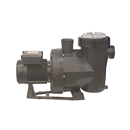 Bomba Piscina Victoria Plus, Bomba De Agua Para Filtrado Piscina, Depuradora Piscina Centrífuga Compacta Y Autoaspirante (1Cv 230V)