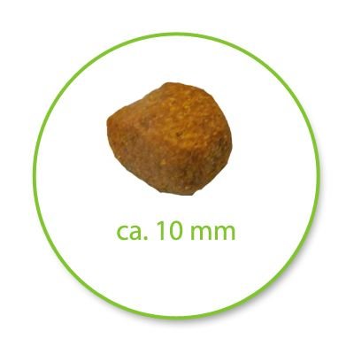 Royal Canin Mundpflege, 8 kg, 2 Stück