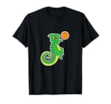 animal basketball sport basket hall dribbling