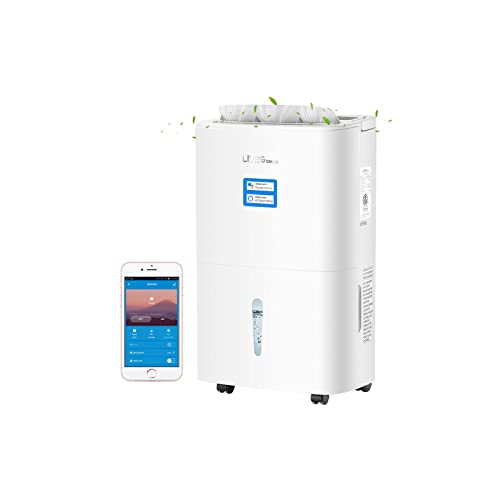Best Dehumidifiers Canada Best Cost