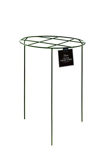 Tom Chambers Urban Dark Green Metal Herbaceous Garden Plant Support Grow Through Medium 50cm x 30cm